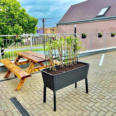 Penzion Bazen Vino Sklep U Palecku Zaječí Exterior foto